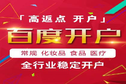 百度竞价广告投放全解析：成功案例揭秘